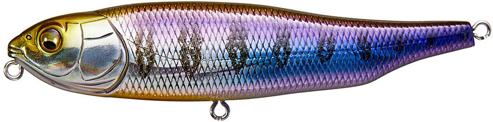 Megabass Giant Dog X Topwater