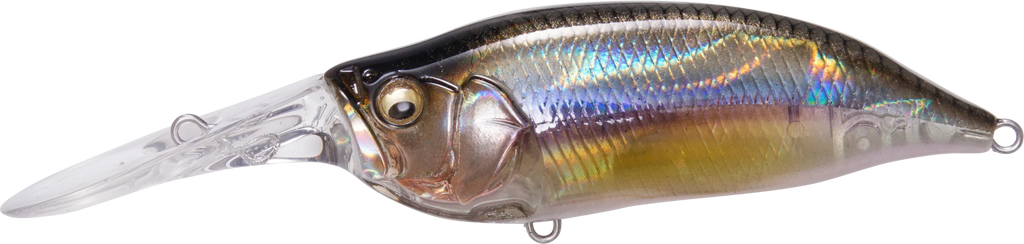 Megabass IXI Shad Type 3 Medium Diving Crankbait