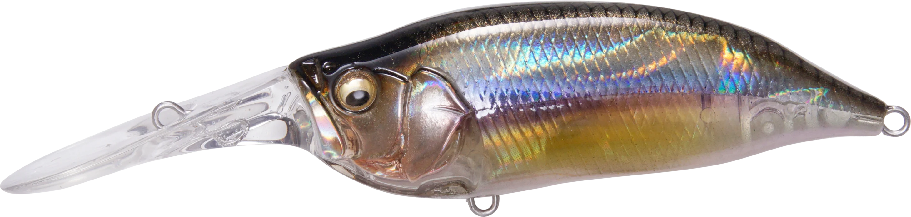 Megabass IXI Shad Type 3 Medium Diving Crankbait
