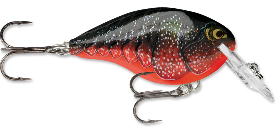 Rapala DT Series Crankbait DT4