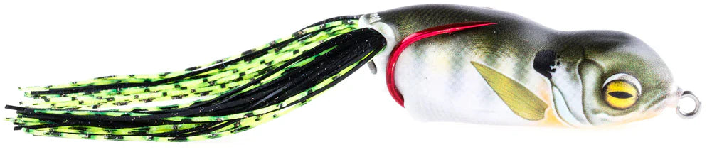 Scum Frog Launch Frog XS 5 8 oz