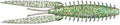 G Ratt Baits DIXI Flip Soft Plastic Jig Trailer 3 Inch